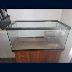 Glass Tank Optional Wood Stand And Lid
