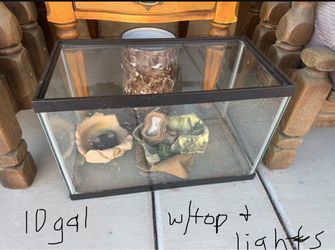 $40 Terrarium 10gal w/lid, day/night lights, and accessories!