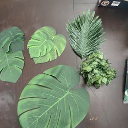 Jungle Theme Party Decor