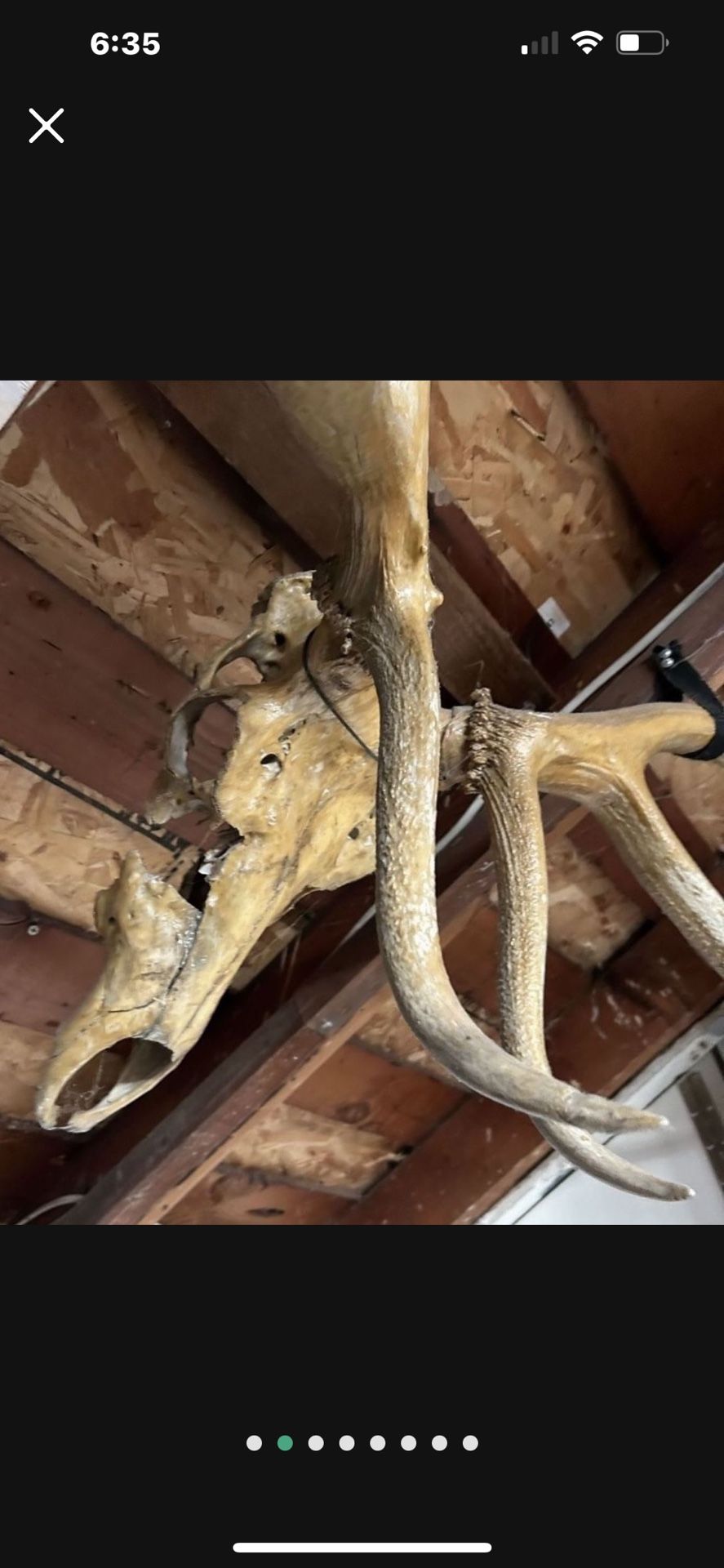 Elk Skull Mount Antlers Mountain Decor Cabin Decoration