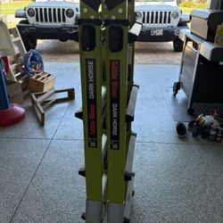 Little Giant Dark Horse Ladder
