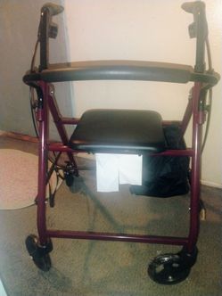 Deluxe walker