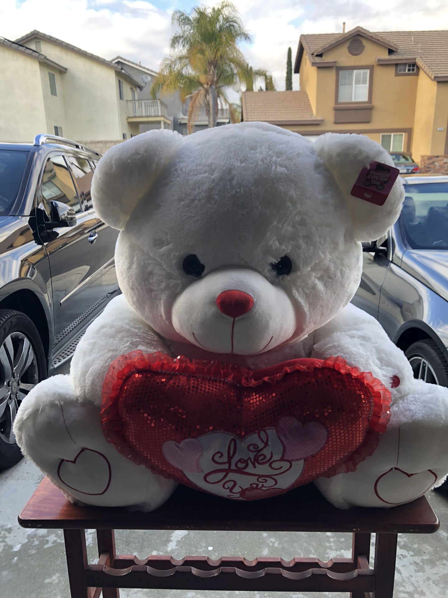Teddy Bear With Music . Valentines Day Or Any Special Day .
