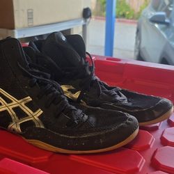 Asics Wrestling Shoes