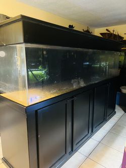 Fish Tank Aquarium 300 Gallon Acrylic for Sale in Orange, CA - OfferUp