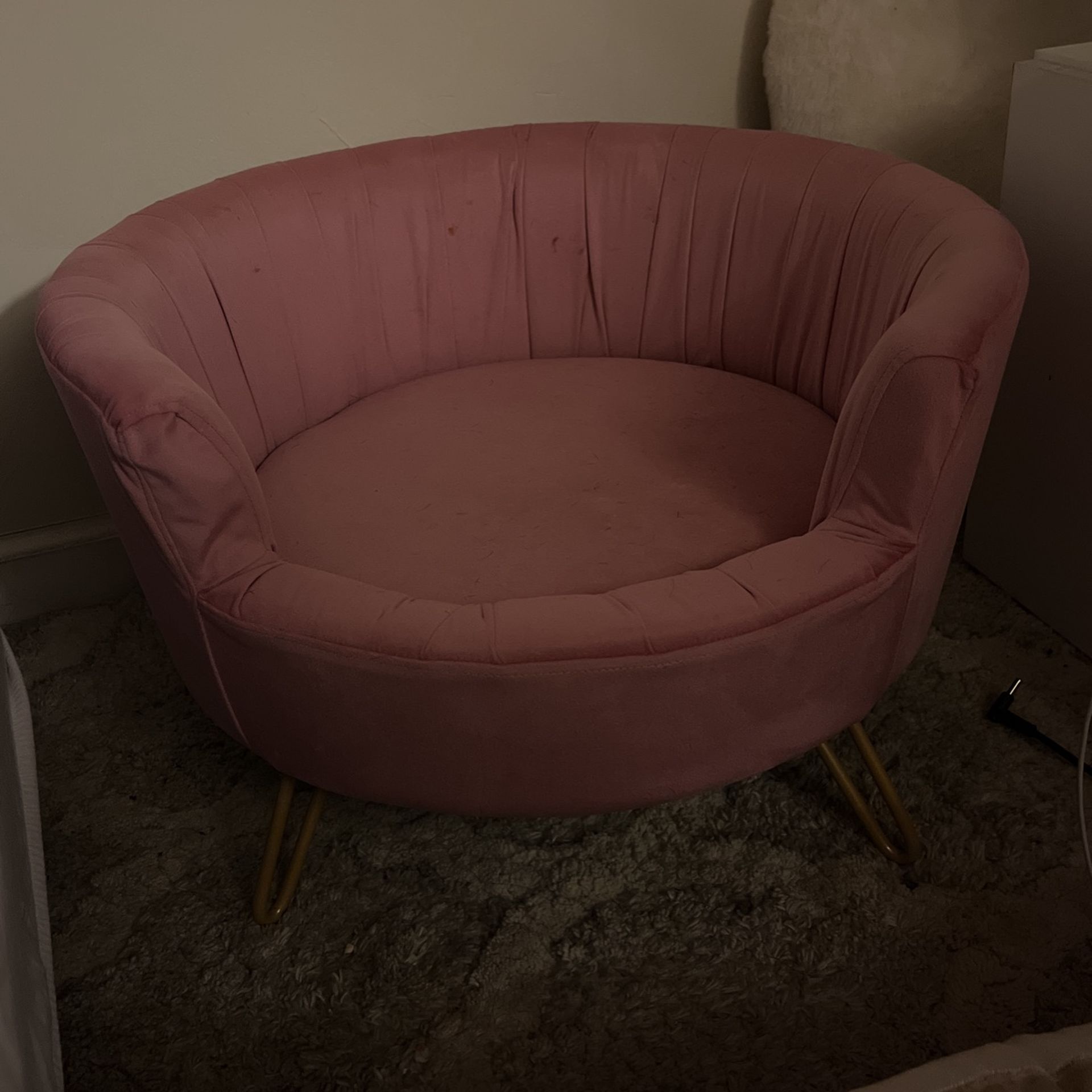 Dog Couch