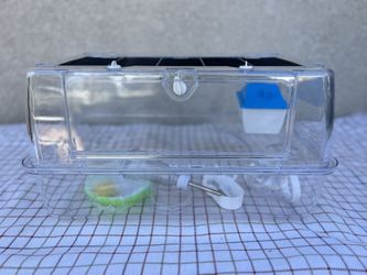HAMSTER CAGE CLEAR GUINEA