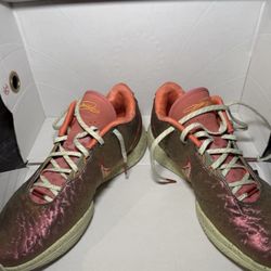 Nike LeBron 21 Queens Conch 10.5