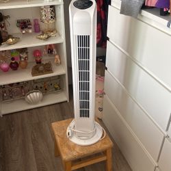 White Fan