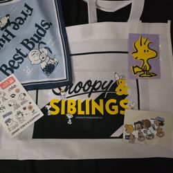 Snoopy tote and magnets bundle