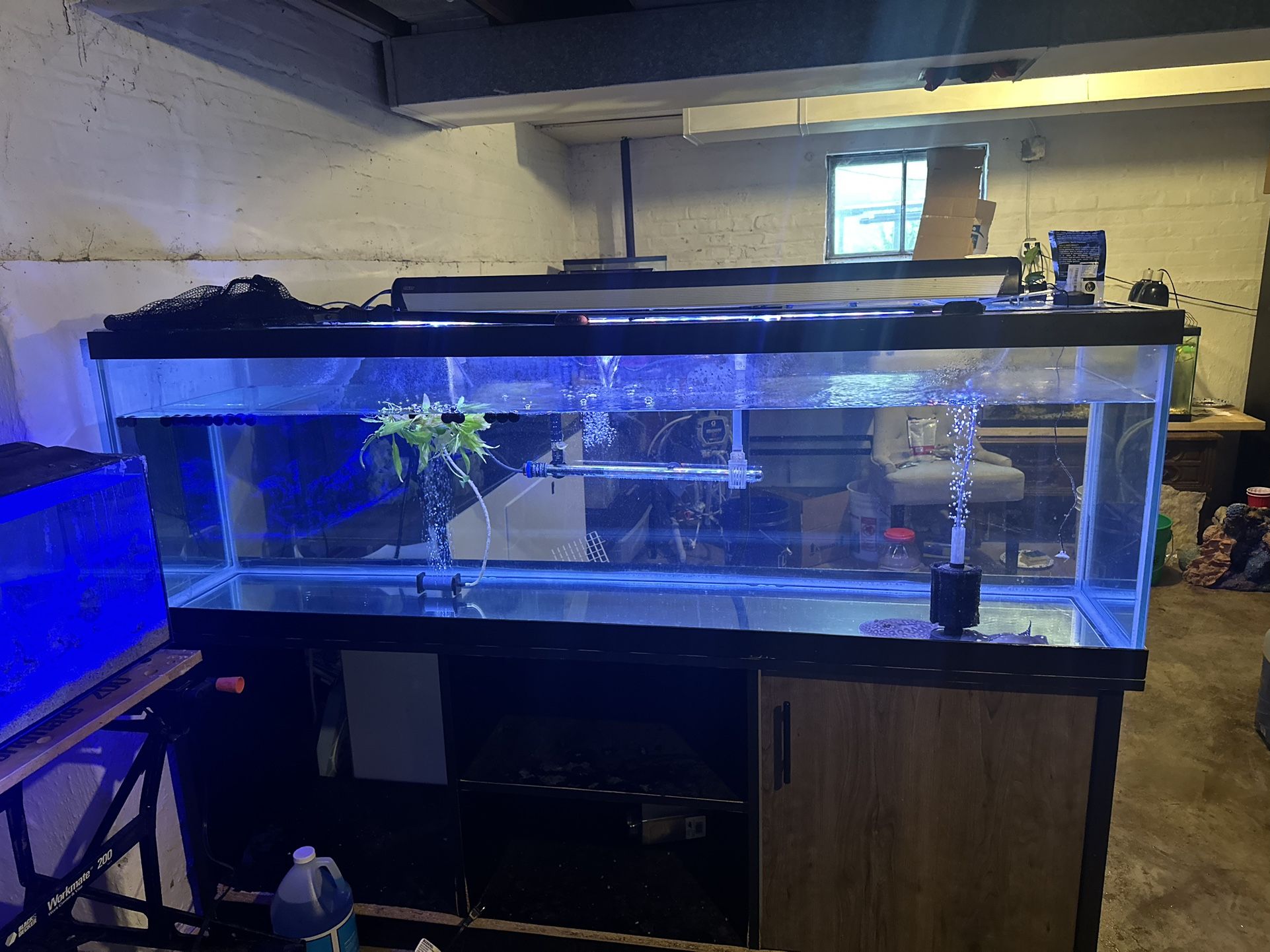125 Gallon And 220 Gallon Aquarium
