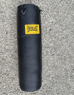Everlast heavy bag designed for boxing and fitness training.  100lbs