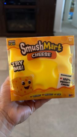Cheese squishy $15