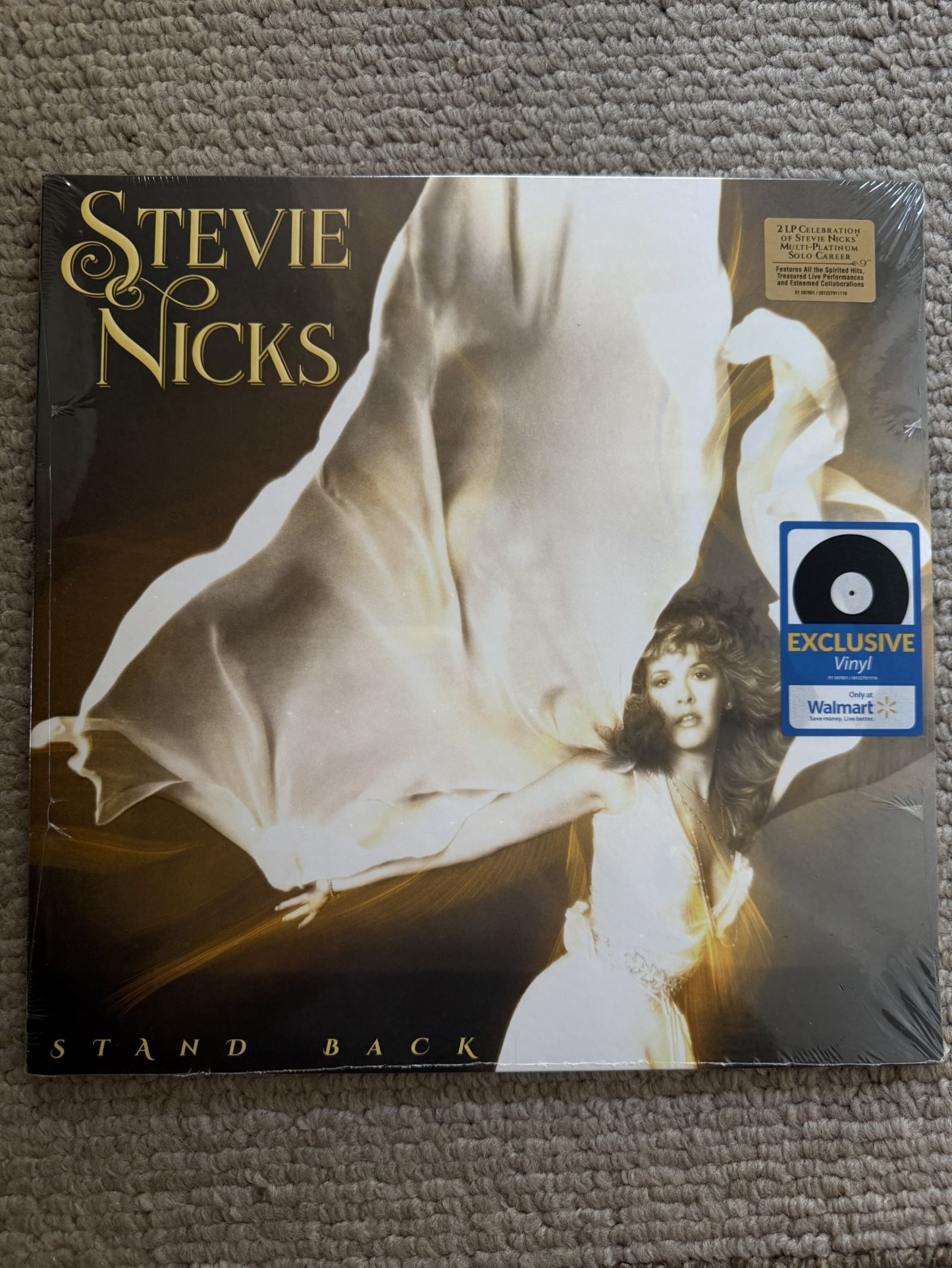 Stevie Nicks Reveals That Her Pregnancy With Don Henley In The 1970s Would Have Broken Up Fleetwood Mac - Foto 2