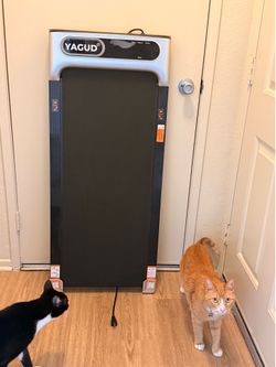 Under desk treadmill / walking pad