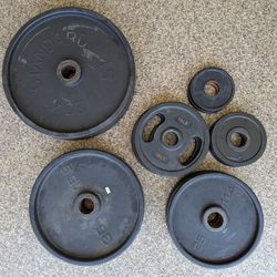 Plate Weights Rubber Coated