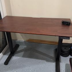 Table - Electric Standing Desk