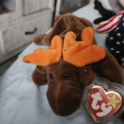 Chocolate The Moose  Rare, Retired