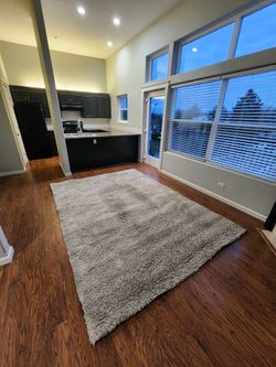 Threshold 7×10 Shag Rug – Neutral Tan
$50 (OBO)