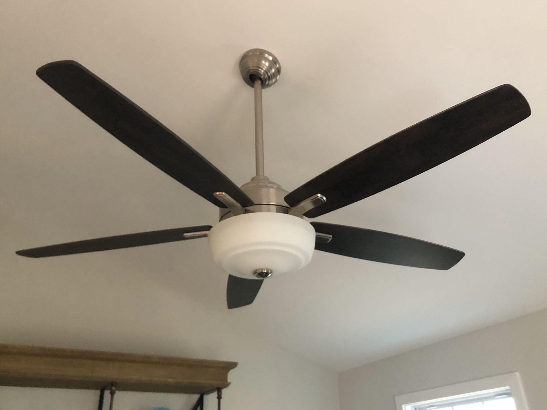 Ceiling fan brand new