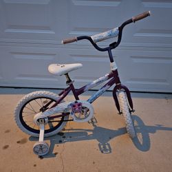 Huffy Seastar Girl Bike with Training Wheels 16" Chesapeake/Great Bridge