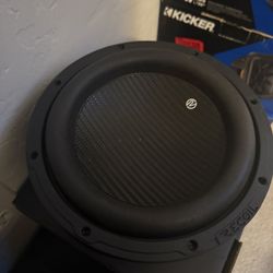 8” Subwoofer 