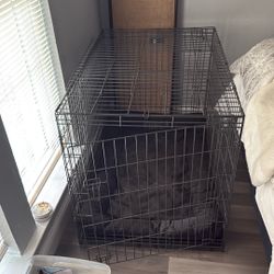 Dog Crate