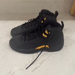 Air Jordan 12 Retro Black Gold