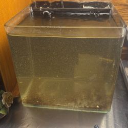 Eight. Gallon Tank.