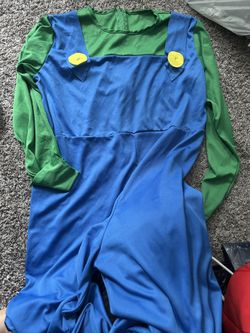 Luigi Costume