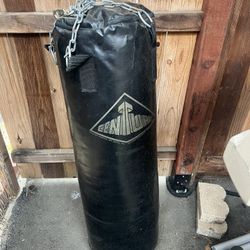 Century Punching Bag