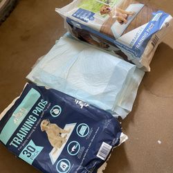 Free Potty Pads For Dogs (about 60-70 Pads)