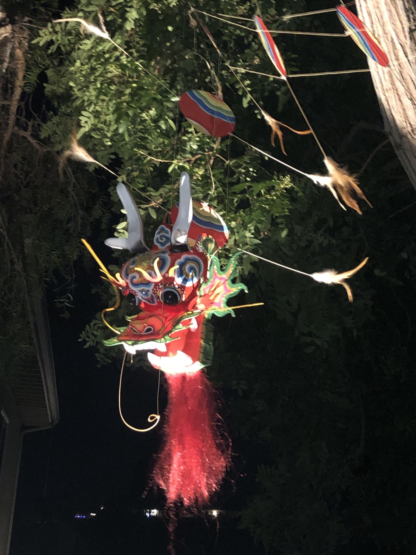 Dragon Kite Party Decoration