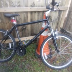 Bicycle (Nishiki Tamarack)