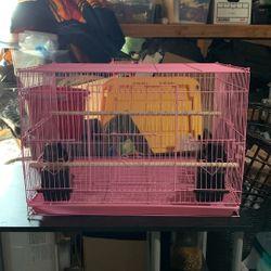 Pink Bird Cage