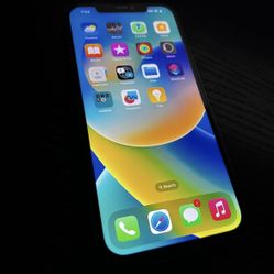 iPhone 12 Pro Max 256 GB Parific Blue- Carrier Unlocked-clean Imei