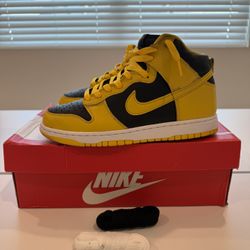 Nike Dunk High 