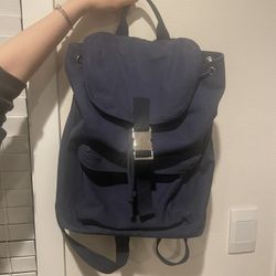 APC backpack 