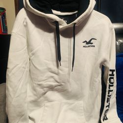 Hollister 
