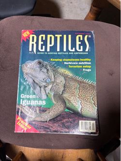 Reptile magazine