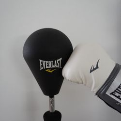 Punching Reflex Speed Bag 