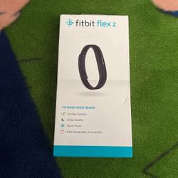 Fitbit Flex 2; $100