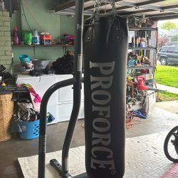 100lb Heavy Bag 