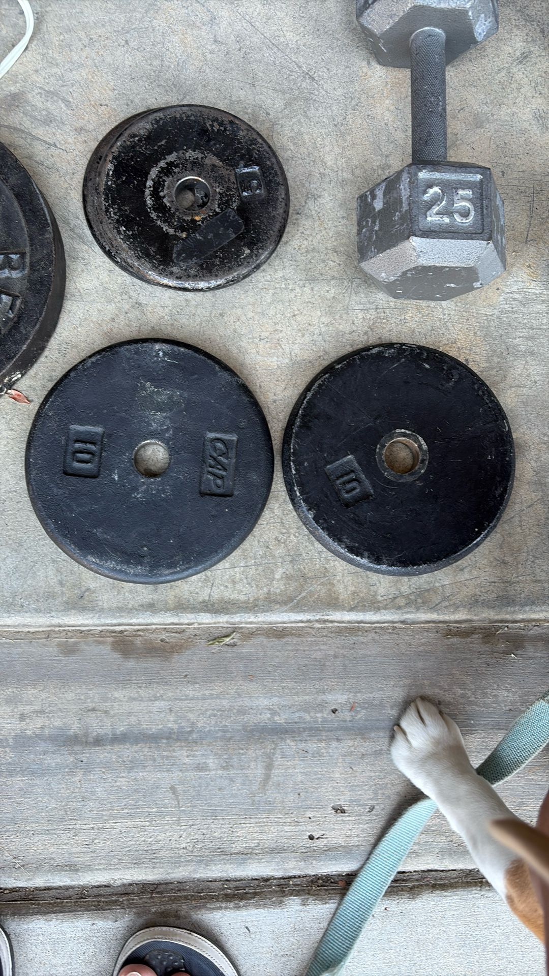 10 Pound Weight Plates