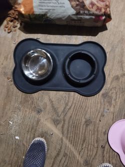 Double Pet Bowl Feeder with Bone-Shaped Mat