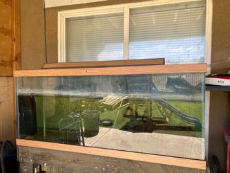 60 gallon aquarium/fish tank