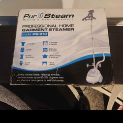 profession home garment steamer