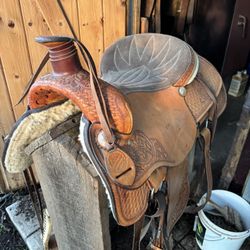 Circle Y 1665 Horse Saddle