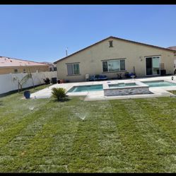 Brand New Grass And Sprinklers 