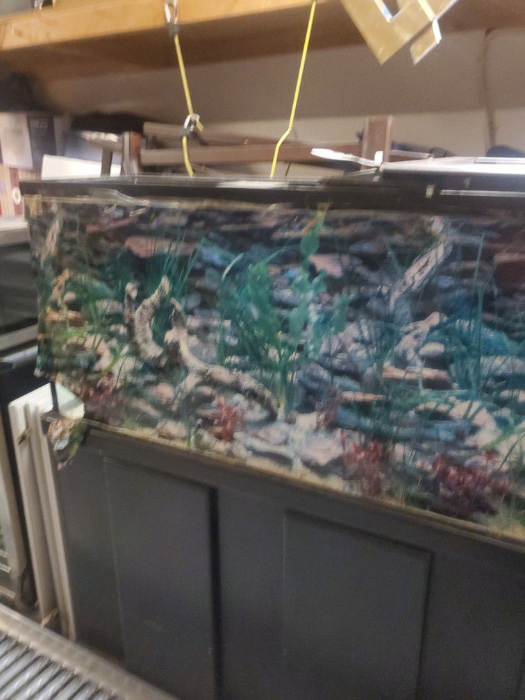 Fish Tank/terarium/ Aquarium And Cupboard Stand